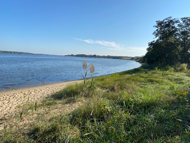 Conquest Beach on the Chester River