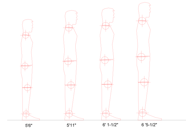 Scaled Humans in CAD