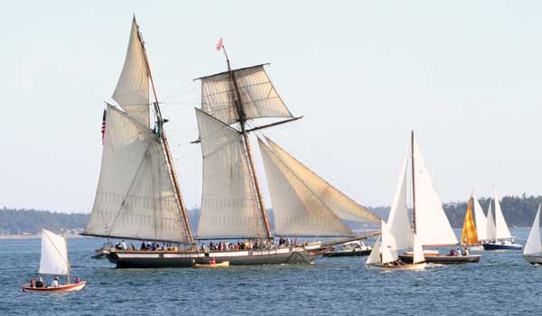 Skerry in the Port Townsend Parade of Sail